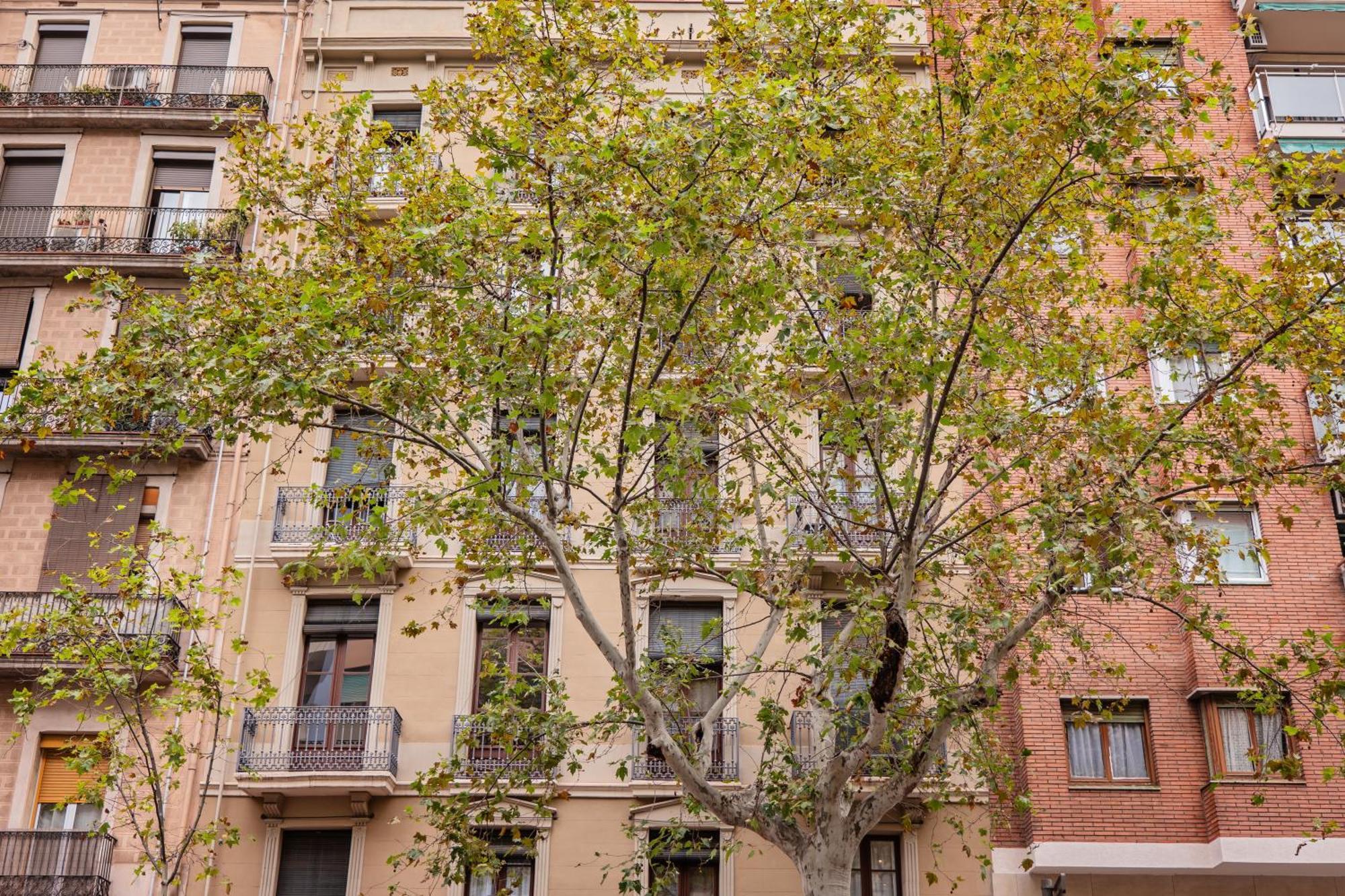 Urgell Appartement *